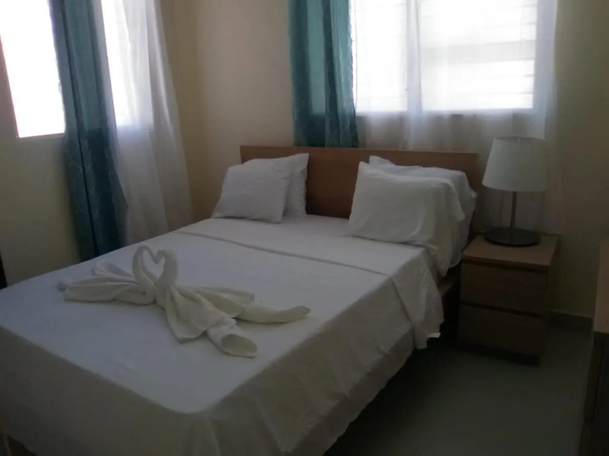 Coconut Apartment Excelent Location Air Conditioning Wifi, Free Parking Santiago De Los Caballeros