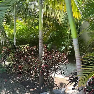 Apartment Residencial Mediterraneo, Santiago De Los Caballeros